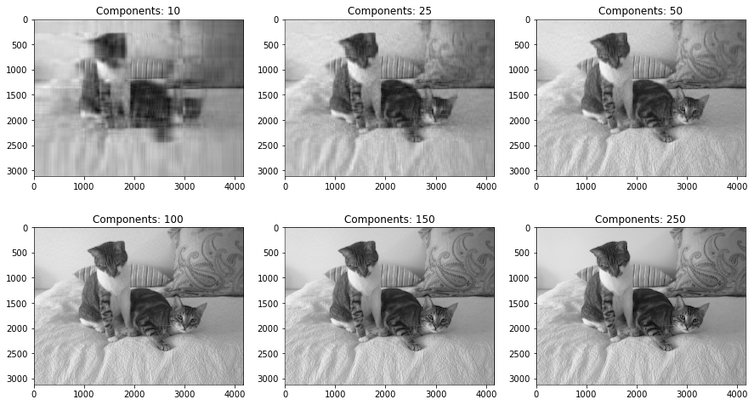 The Magic of Principal Component Analysis through Image Compression